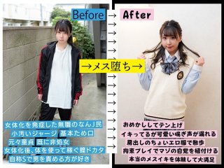 TSF-010 Preview Image