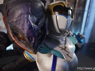 SPSF-33 Preview Image