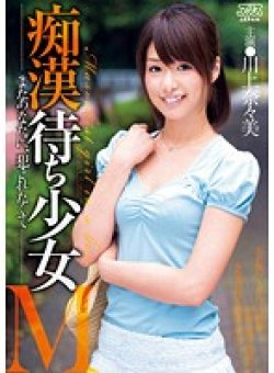 DV-1570 Thumbnail Image