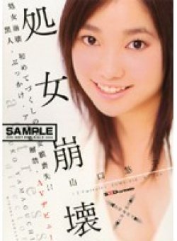 SDMS-020 Thumbnail Image