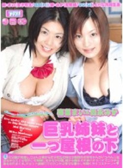 MDLD-388 Thumbnail Image
