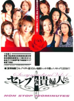 DSS-01 Thumbnail Image