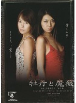 BOG-503 Thumbnail Image