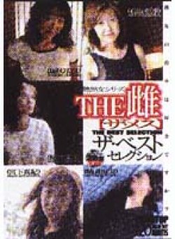 LJB-02 Thumbnail Image