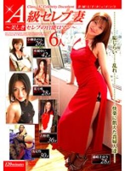 VNDS-739 Thumbnail Image