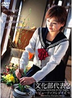 VNDS-344 Thumbnail Image