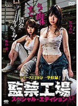KSD-027 Thumbnail Image