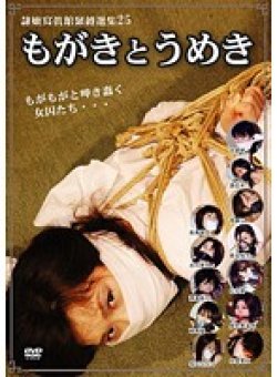 DDIS-025 サムネイル画像