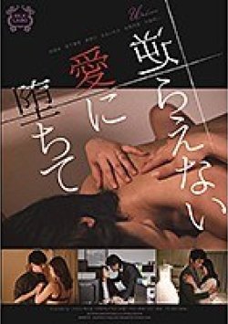 SILK-128 Thumbnail Image