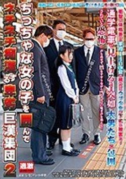 NHDTB-489 Thumbnail Image