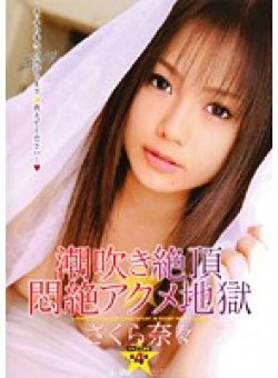 SAK-8494 Thumbnail Image