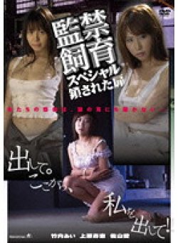 DJM-039 Thumbnail Image
