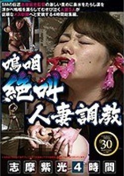 AXDVD-0199 Thumbnail Image