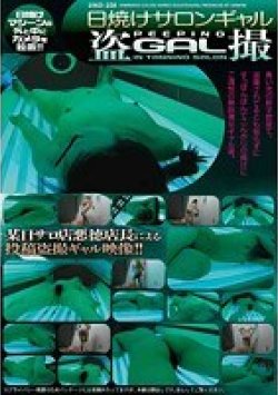 SINO-228 Thumbnail Image